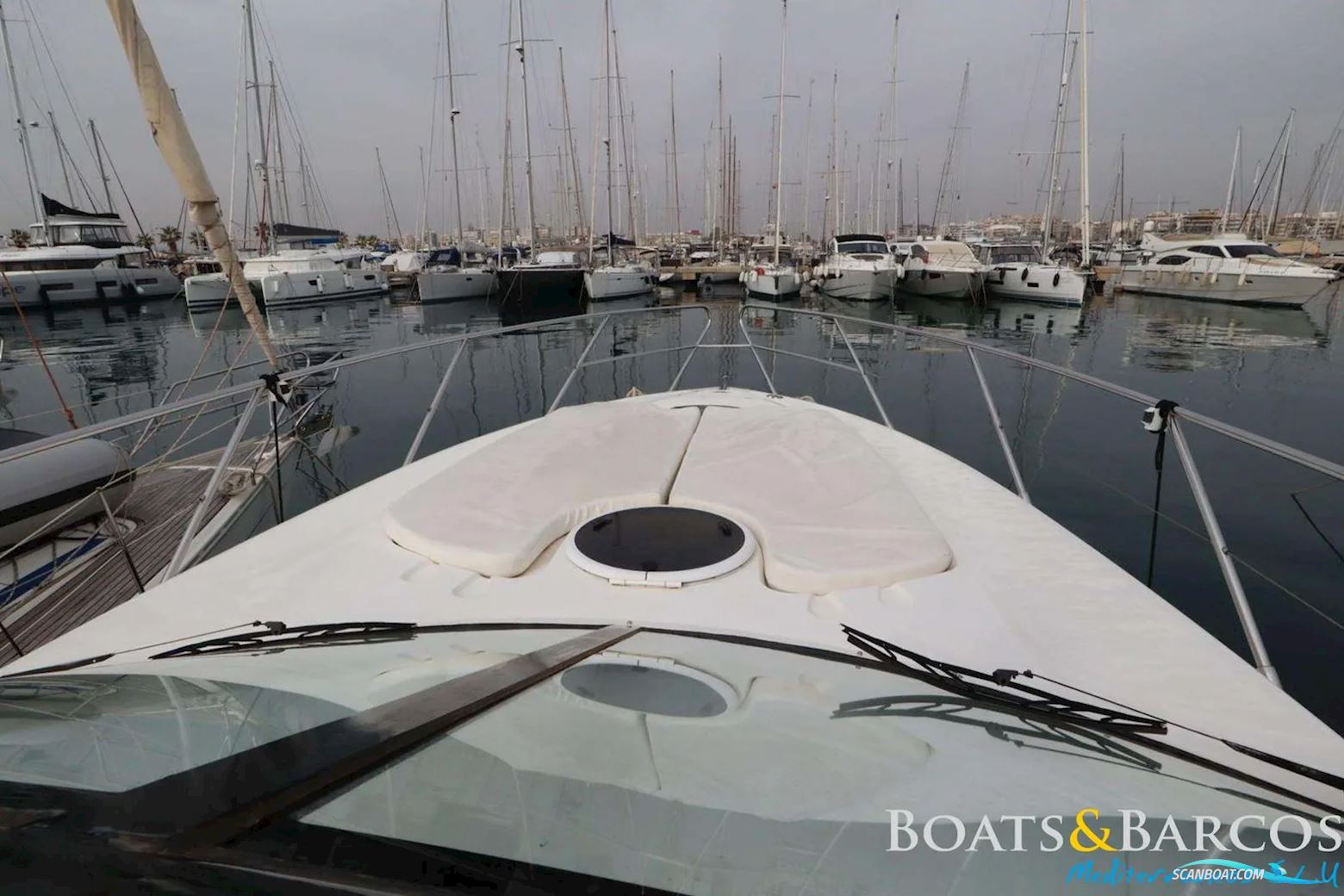 PRINCESS V42