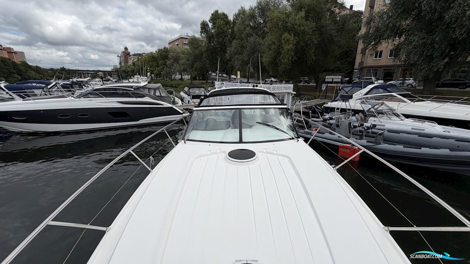 PRINCESS V42