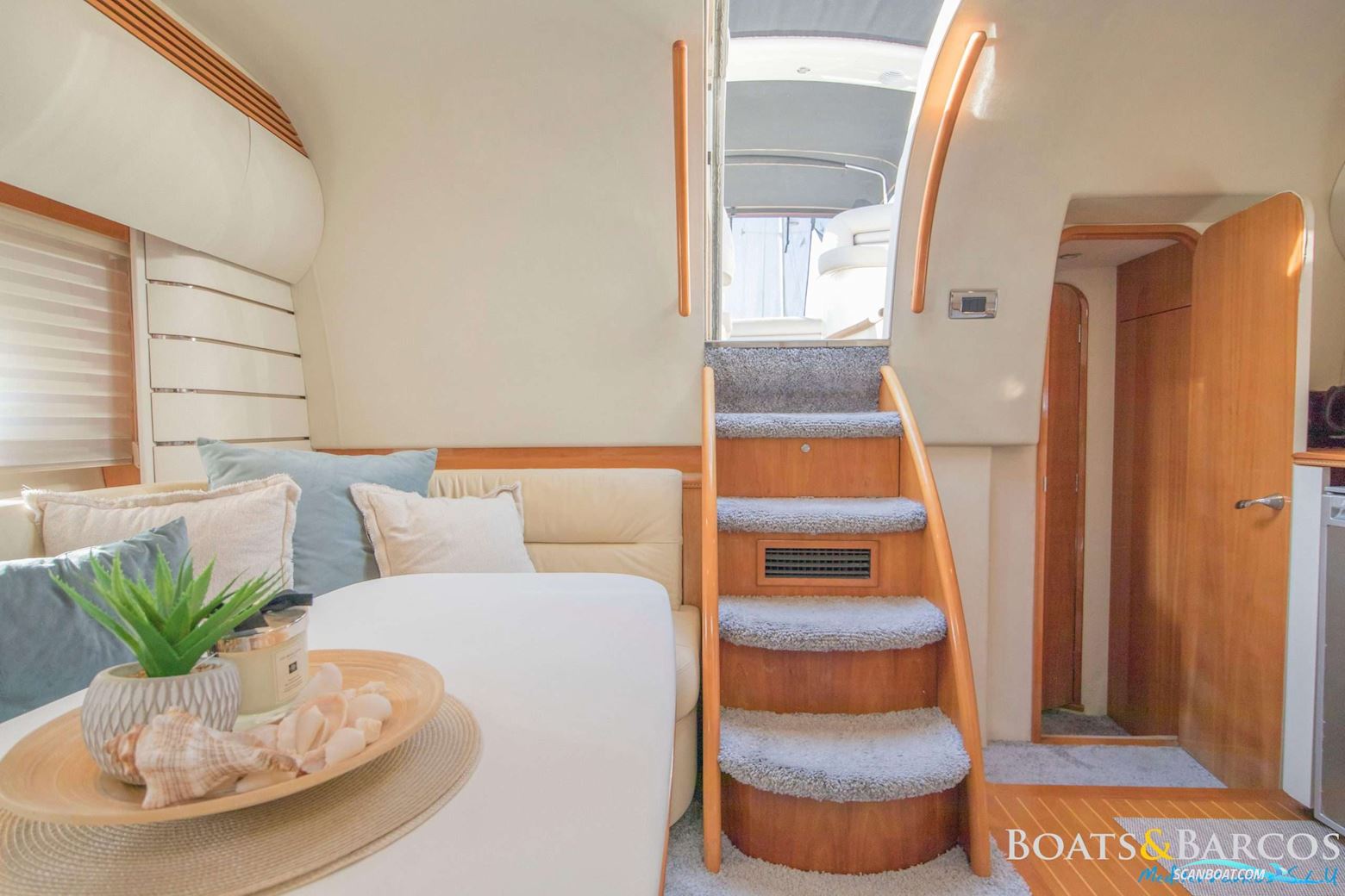 PRINCESS V50