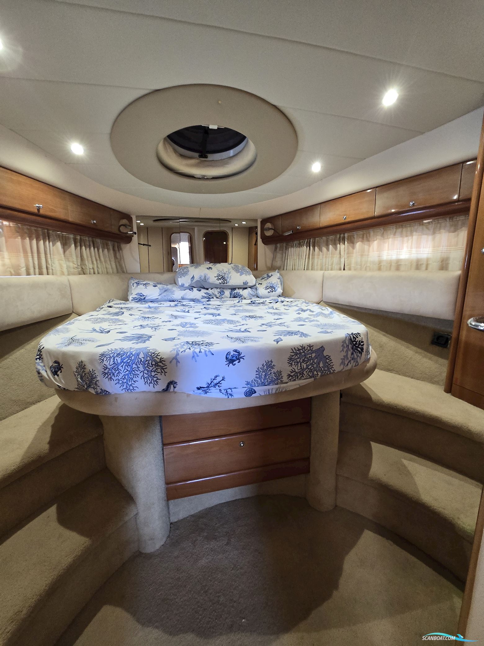 Princess V55