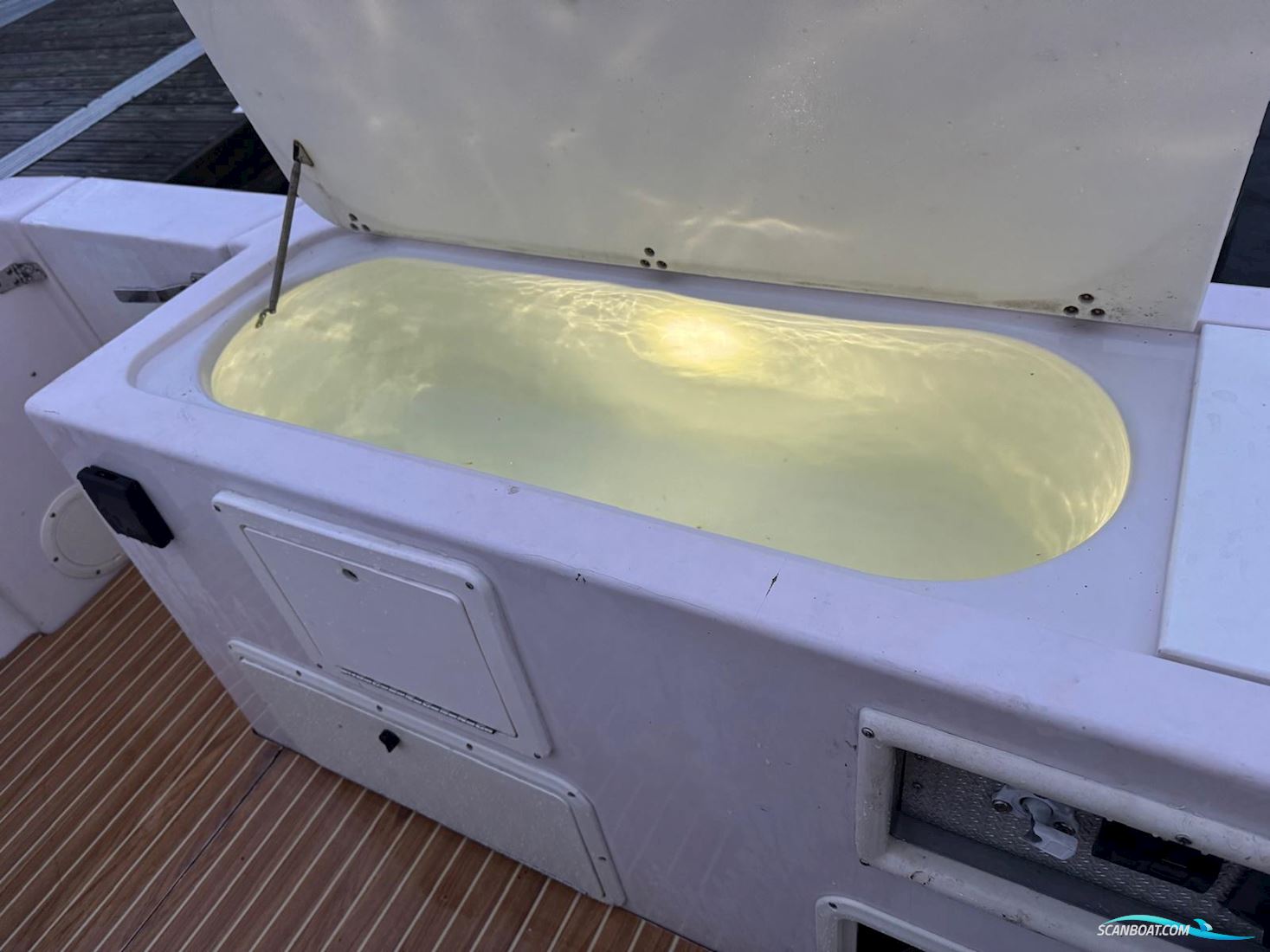 Proline 2950 Mid Cabin