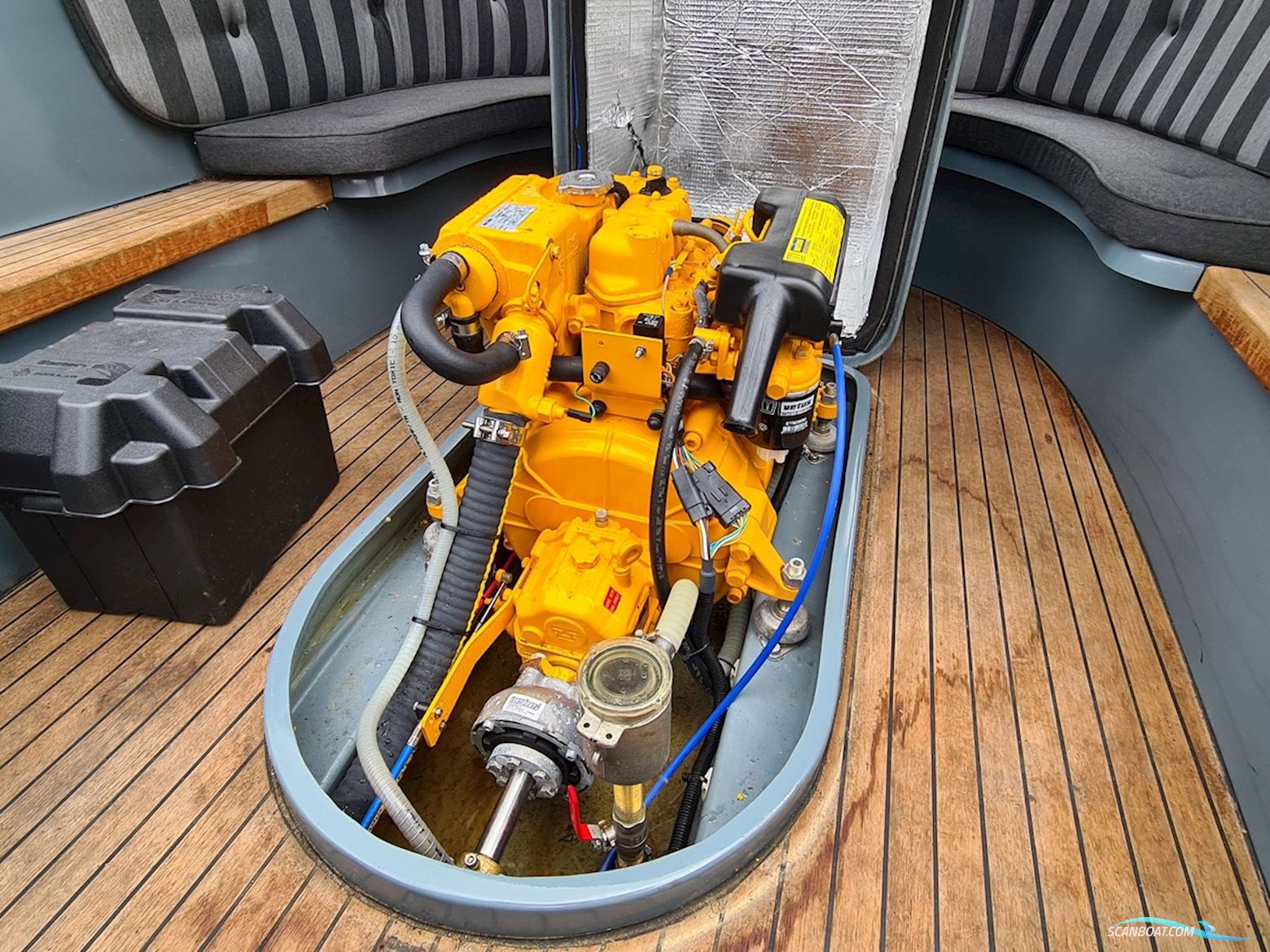 PuraVida 550