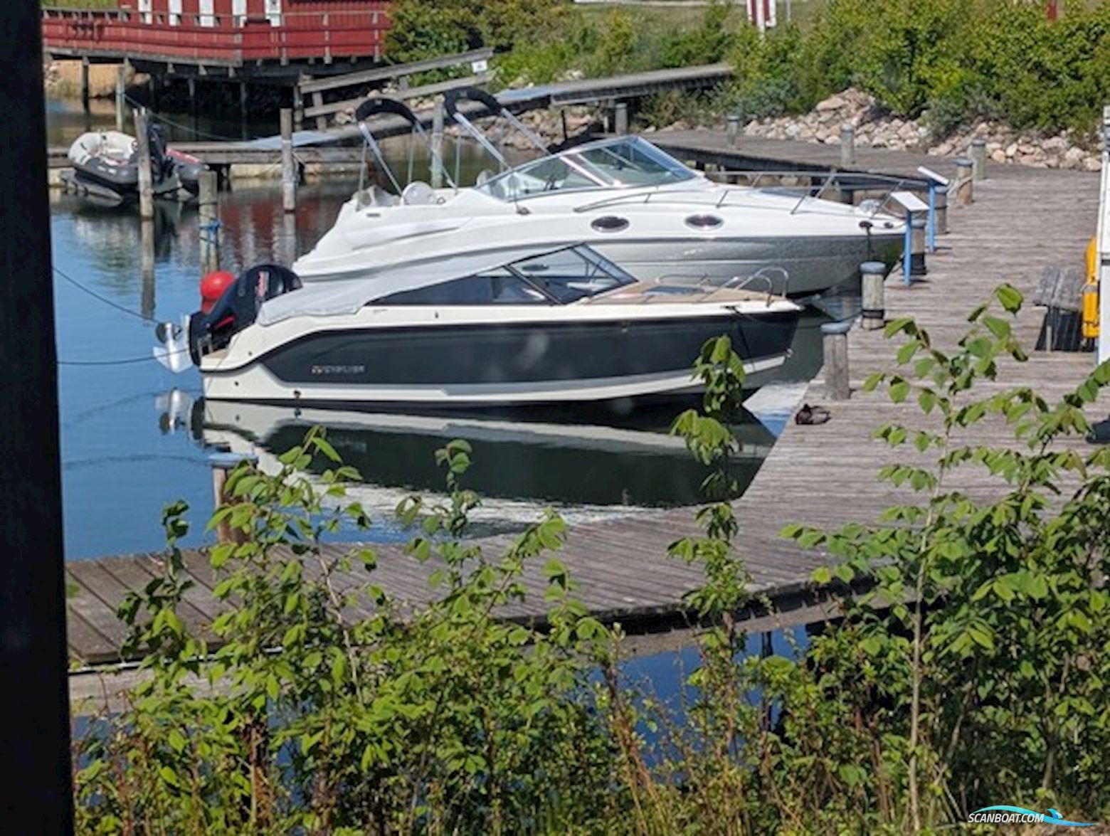 Quicksilver 605 Activ Cruiser  Motorboot 2022, mit Mercury motor, Dänemark