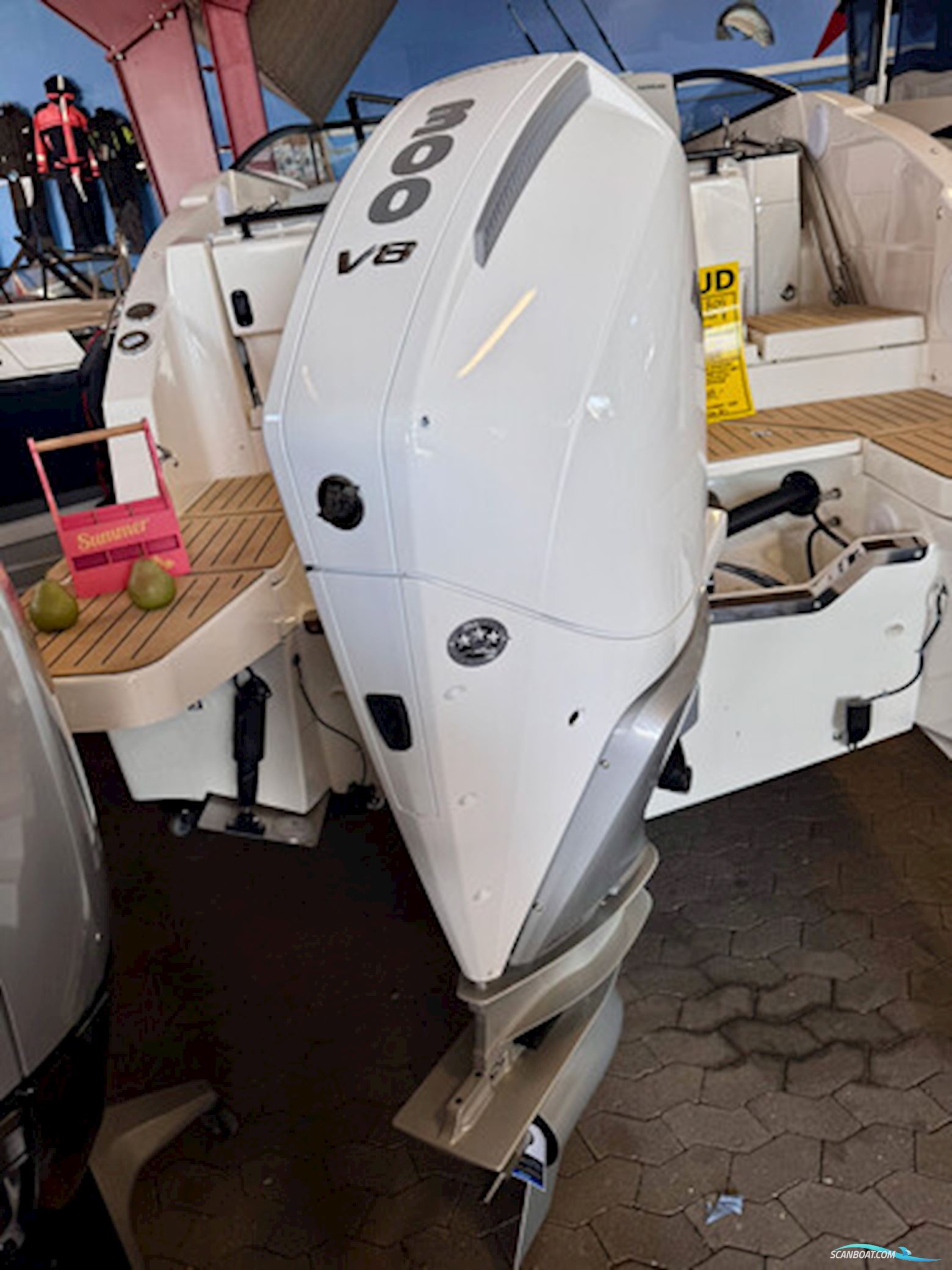 Quicksilver 805 Cruiser 40 Year Anniversary Edition