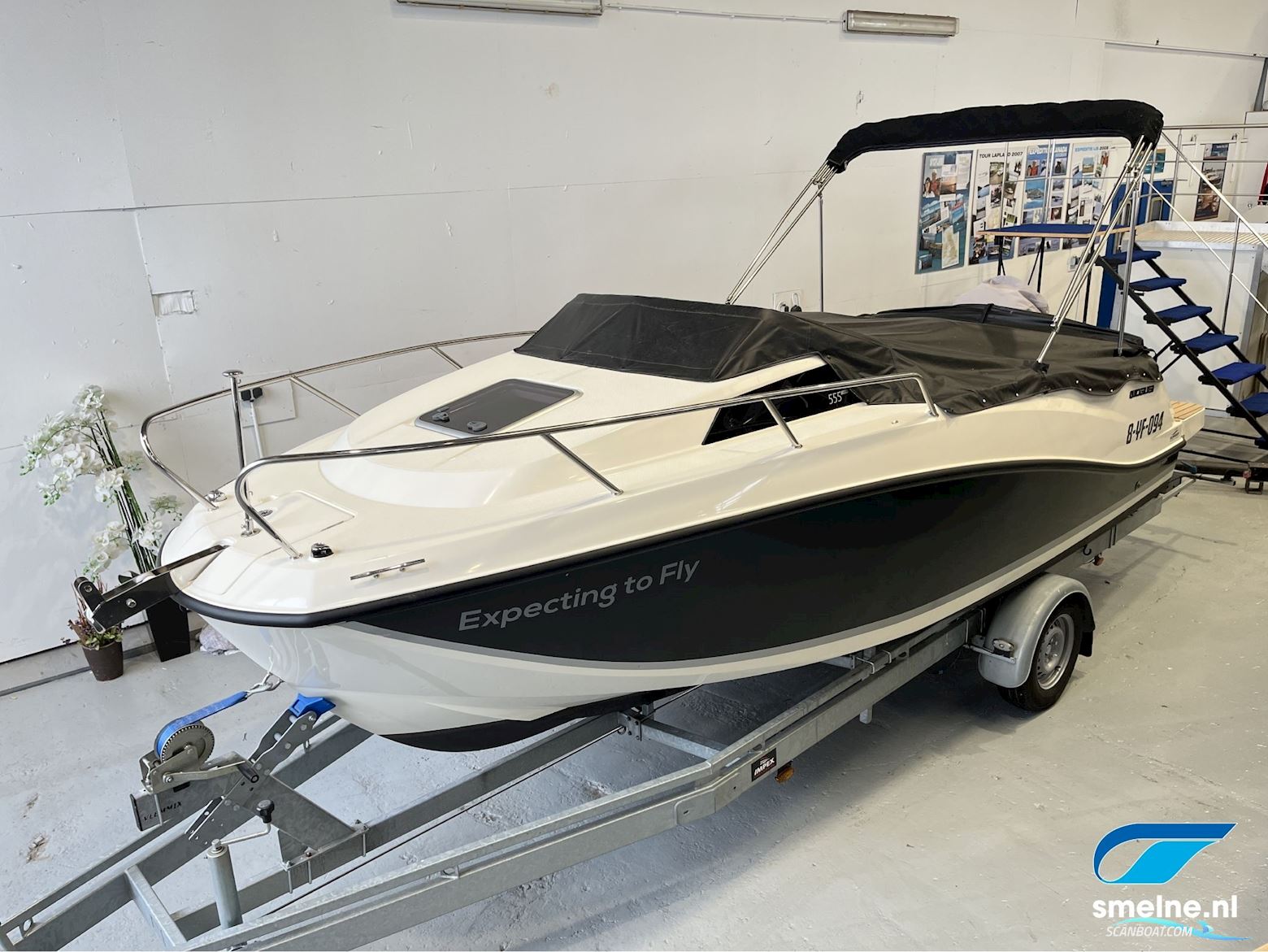 Quicksilver Activ 555 Cabin