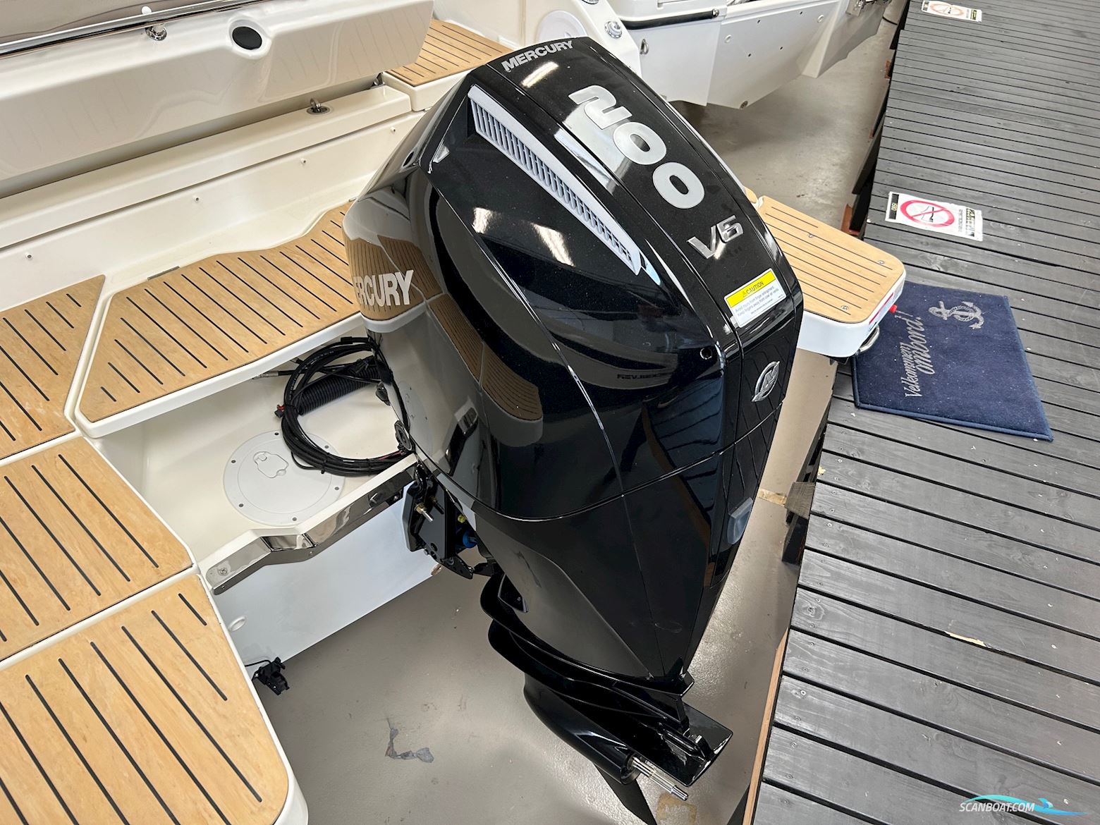 Quicksilver Activ 805 Cruiser NY