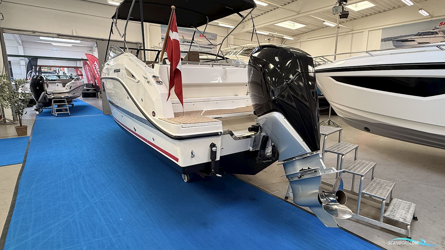 Quicksilver Activ 805 Cruiser
