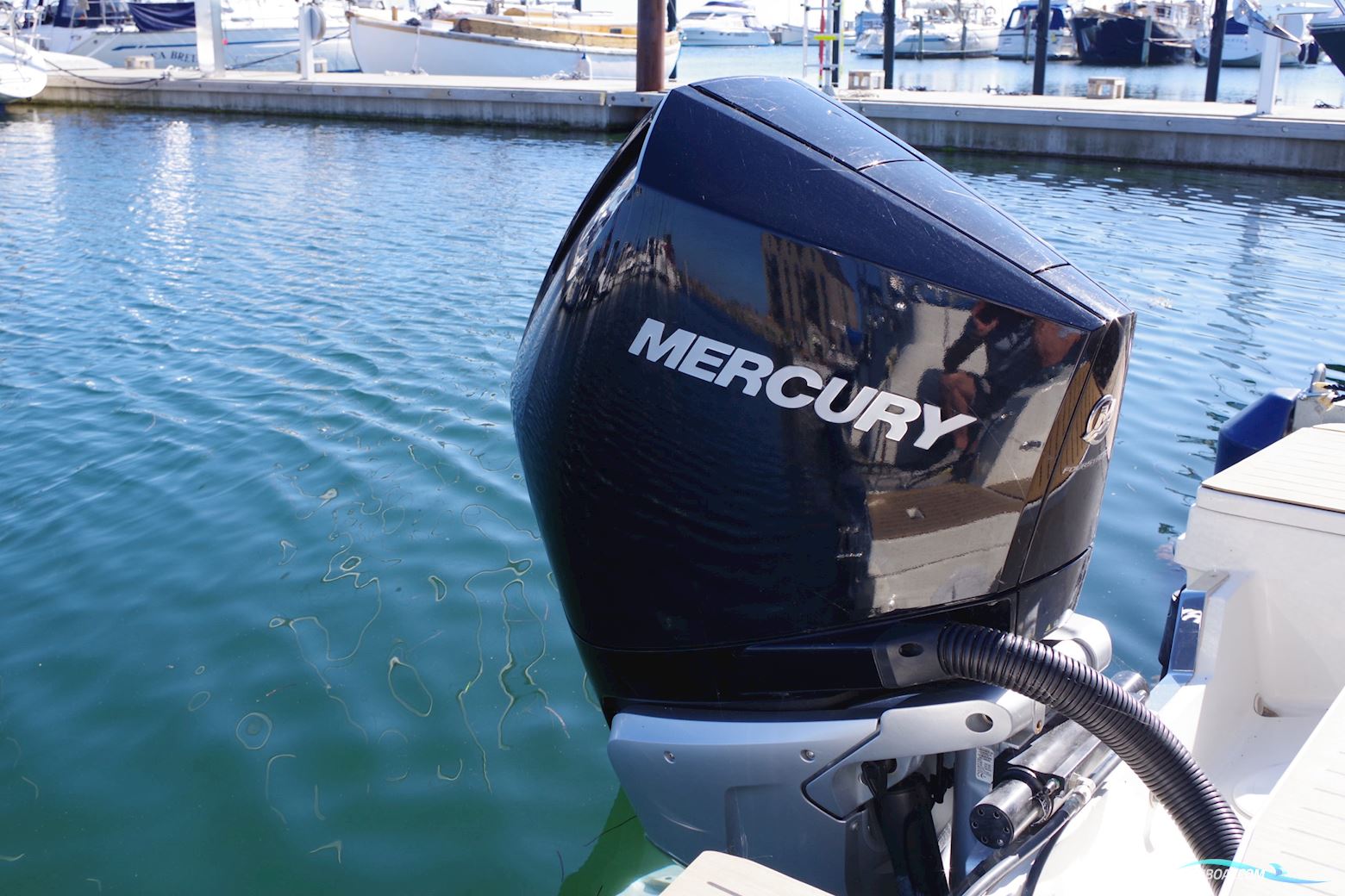 Quicksilver Quicksilver Activ 805 Cruiser