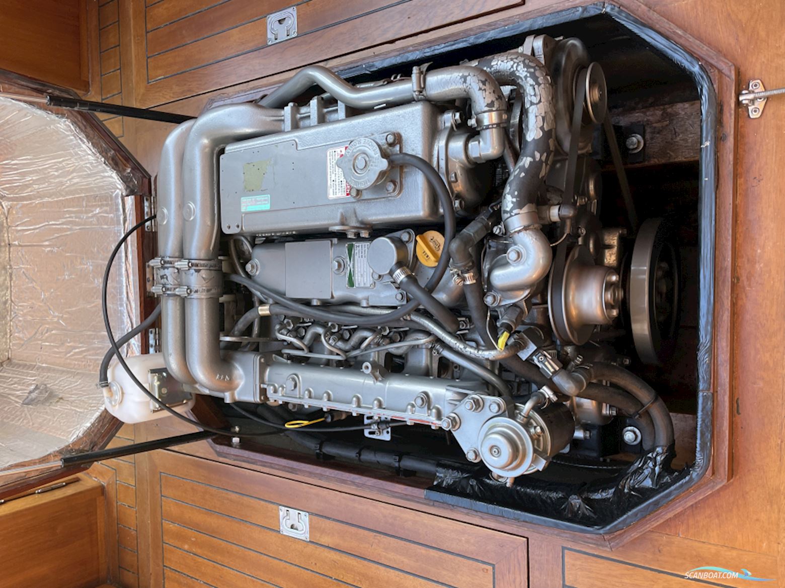 Rapsody 29 FT