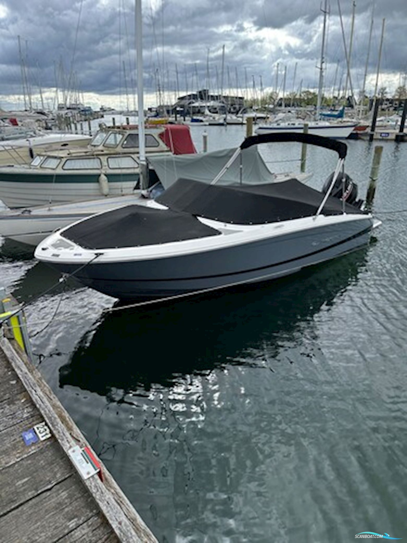 Regal LX2 Med Suzuki DF250 – Perfekt Kombination af Kraft, Komfort & Klar Til Sæsonen Motorboot 2020, mit Suzuki motor, Dänemark