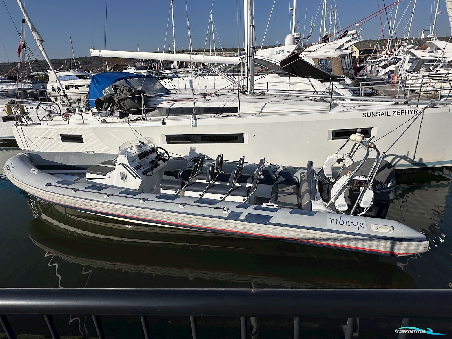 Ribeye 785