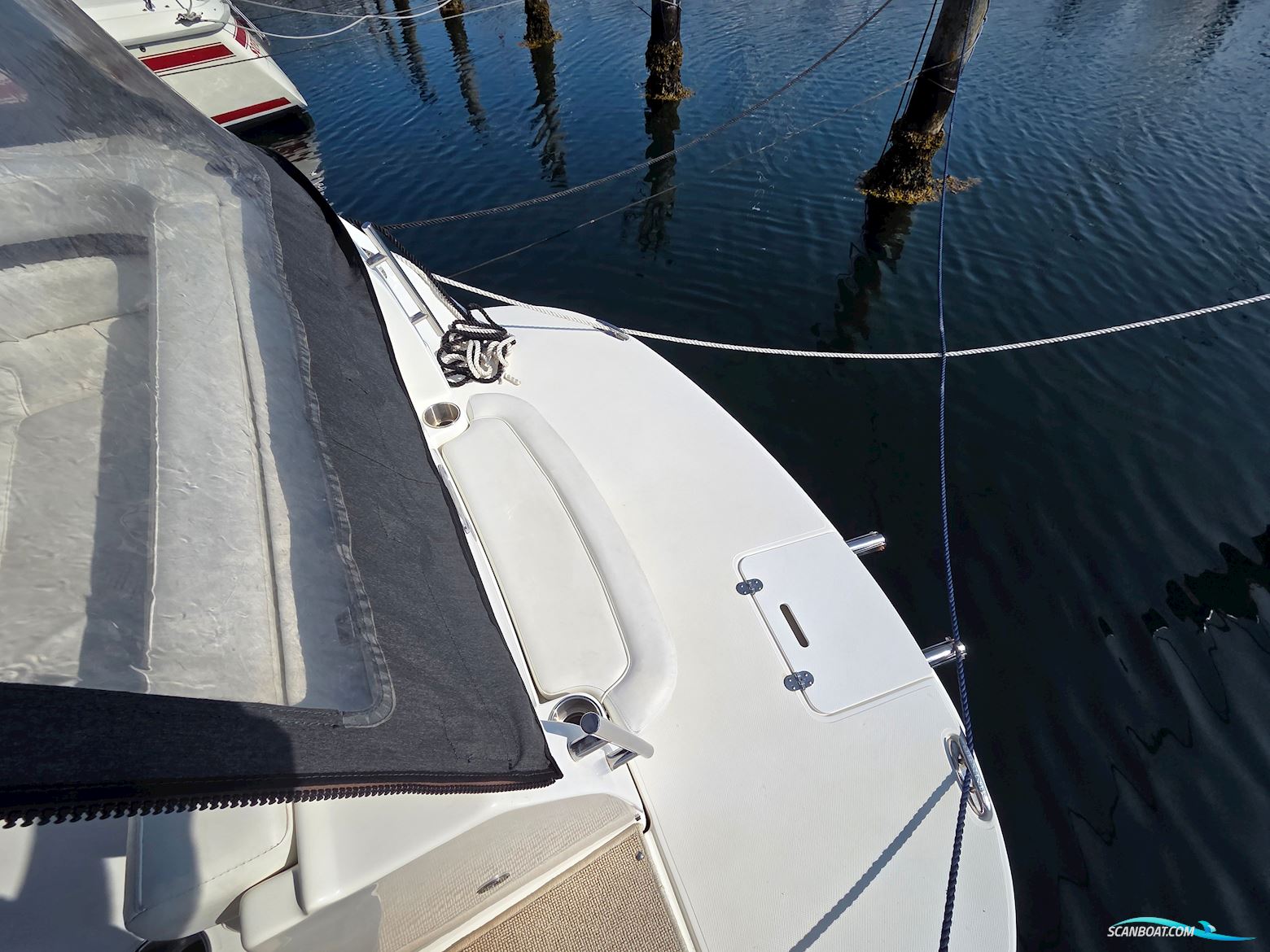 Rinker 260 Express Cruiser