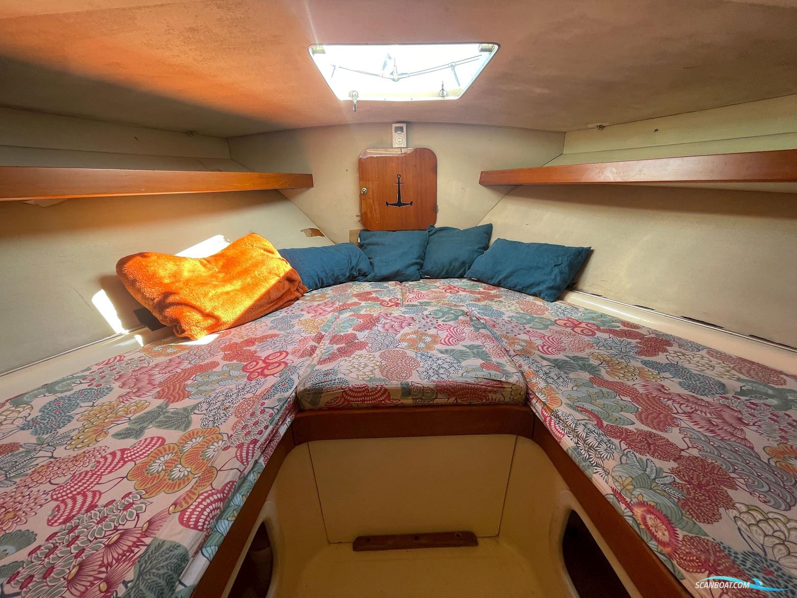 Riva Betram Sport Fish 25