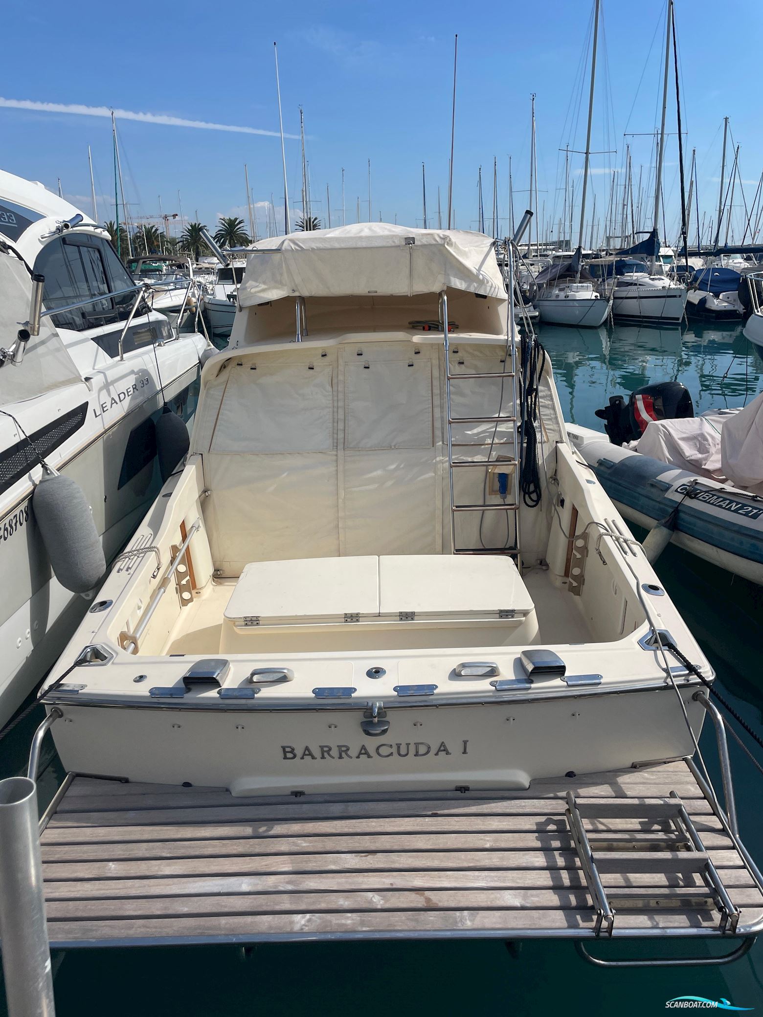 Riva Betram Sport Fish 25