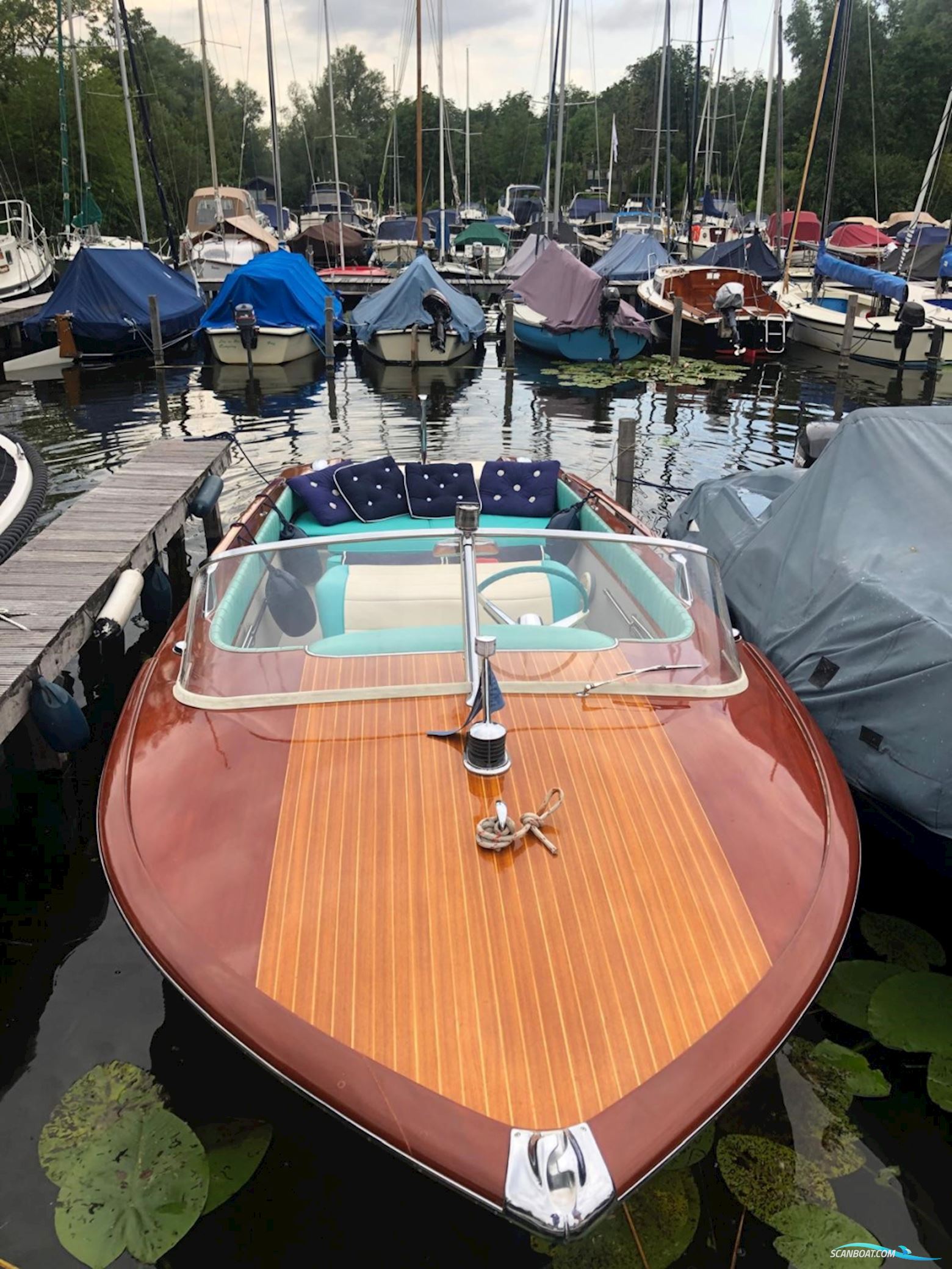 Riva Junior