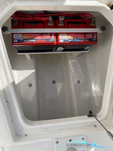 Robalo R260