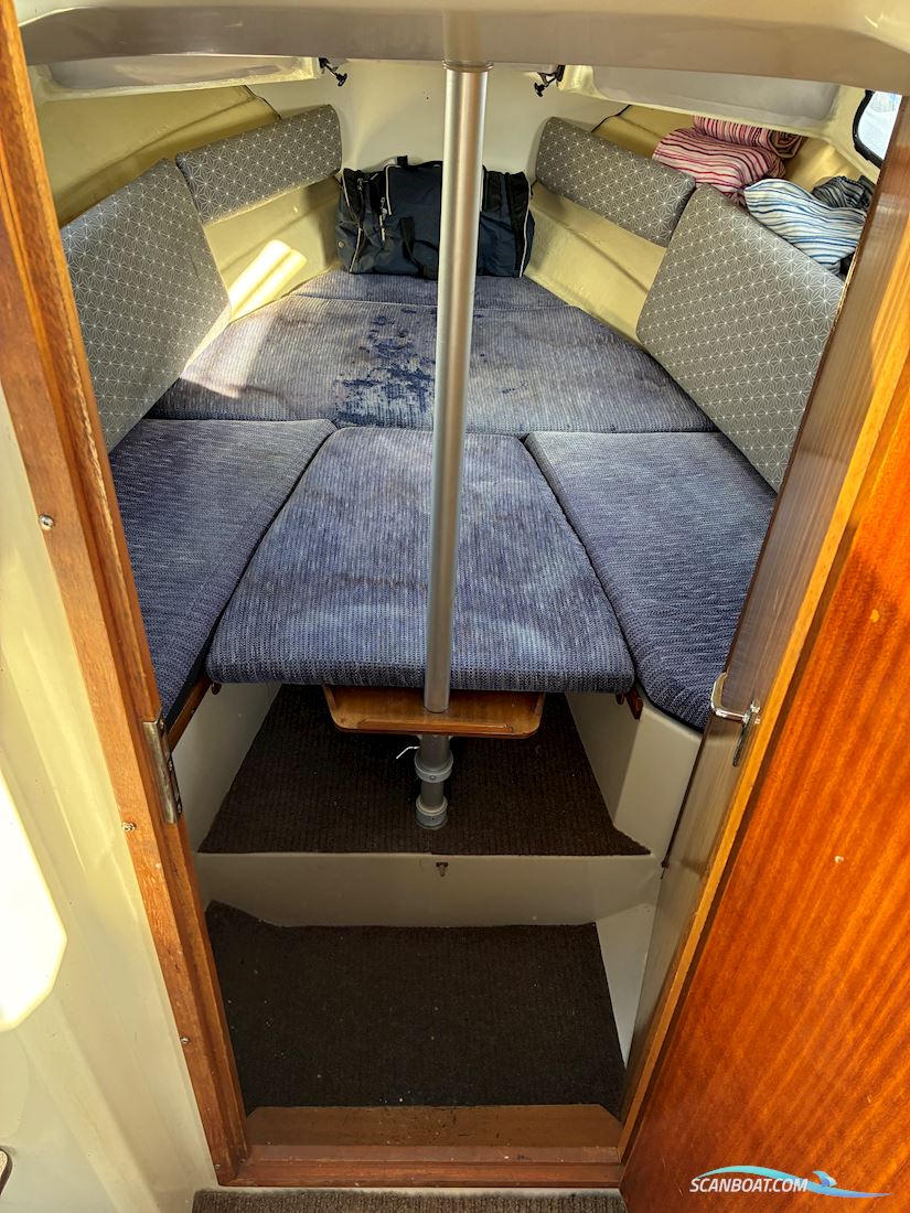 Saga 24
