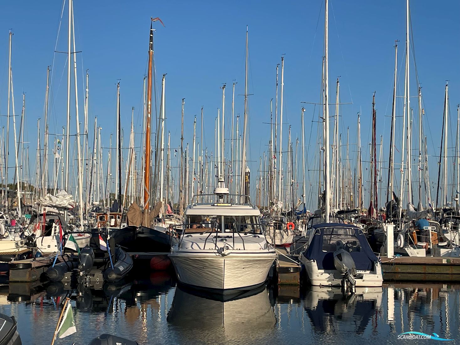 Saga 315