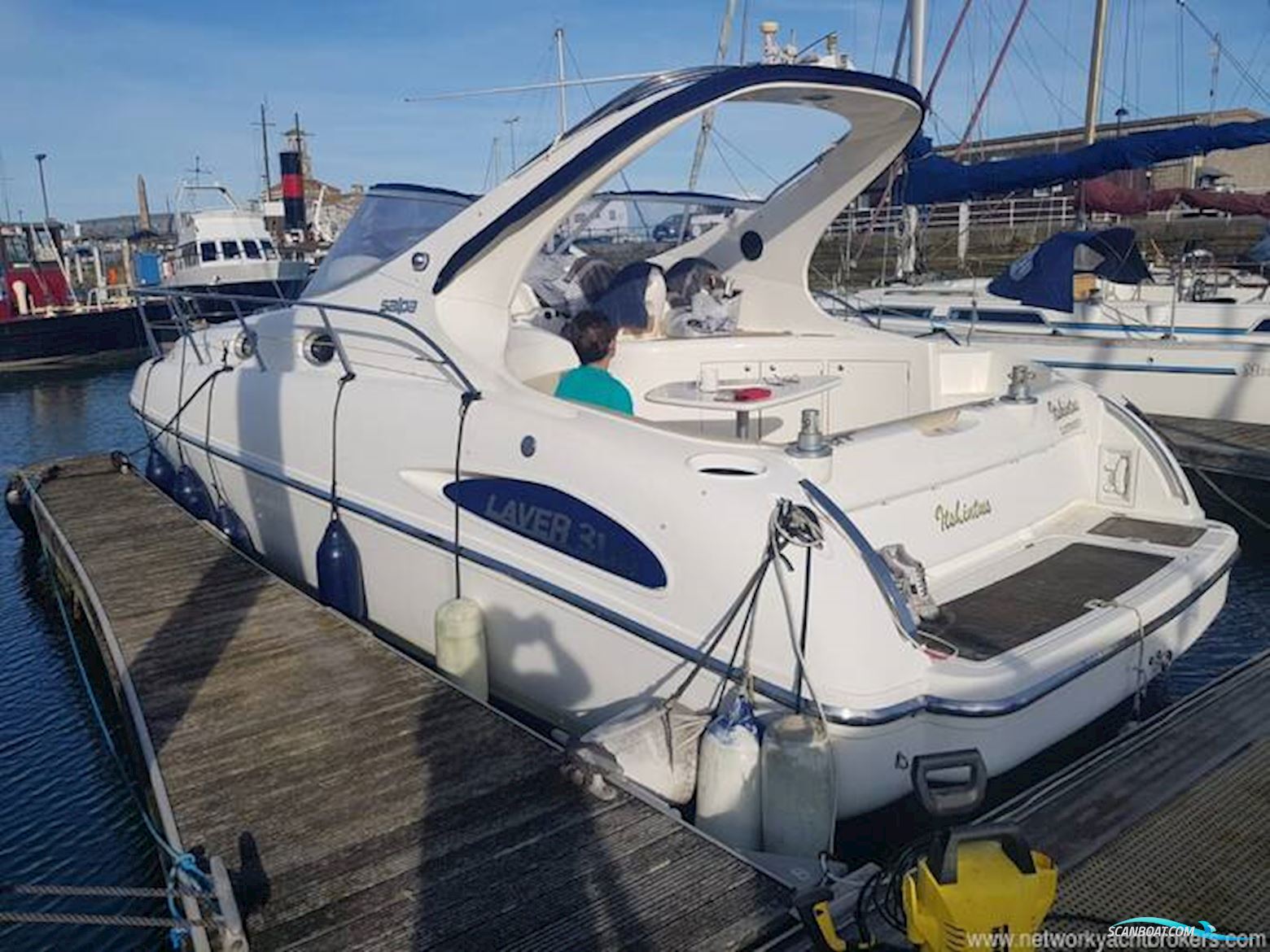 Salpa Laver 31.5