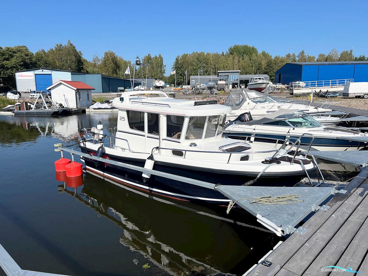 Sargo 25