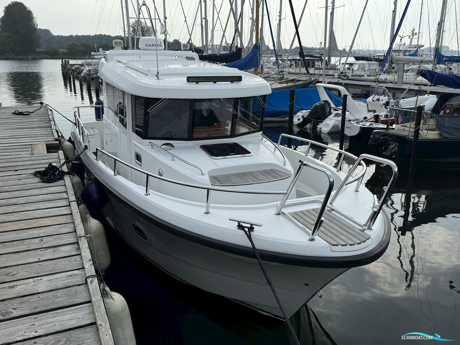 Sargo 31 Offshore
