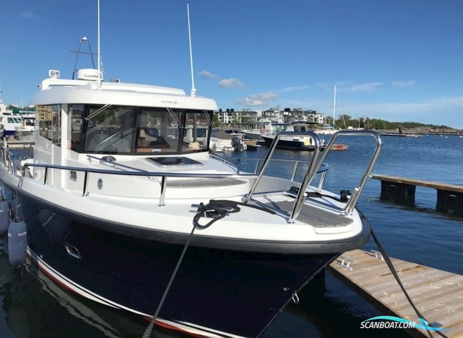Sargo 31