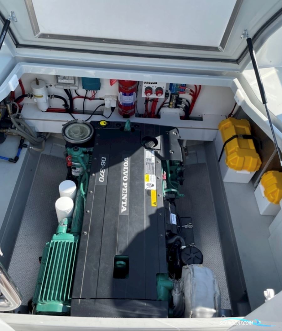 Sargo 31