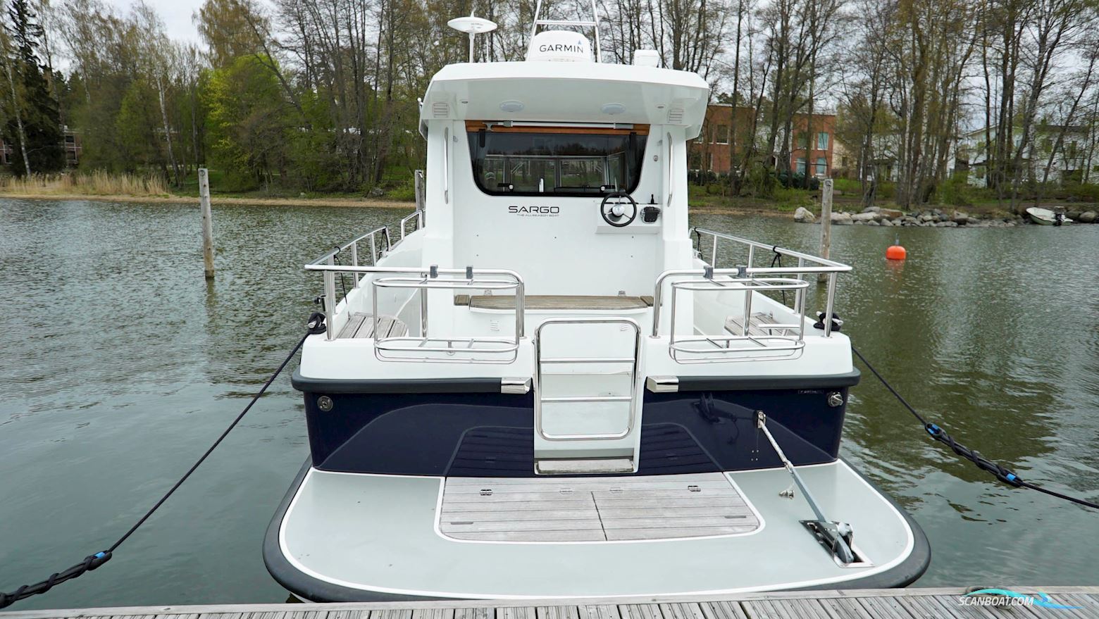 Sargo 31