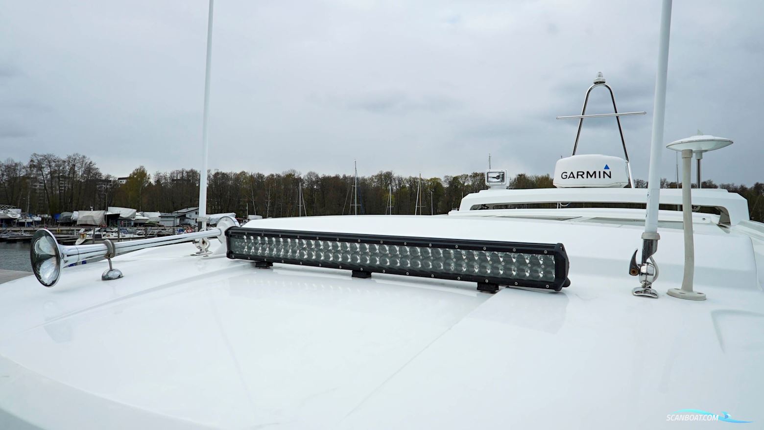 Sargo 31