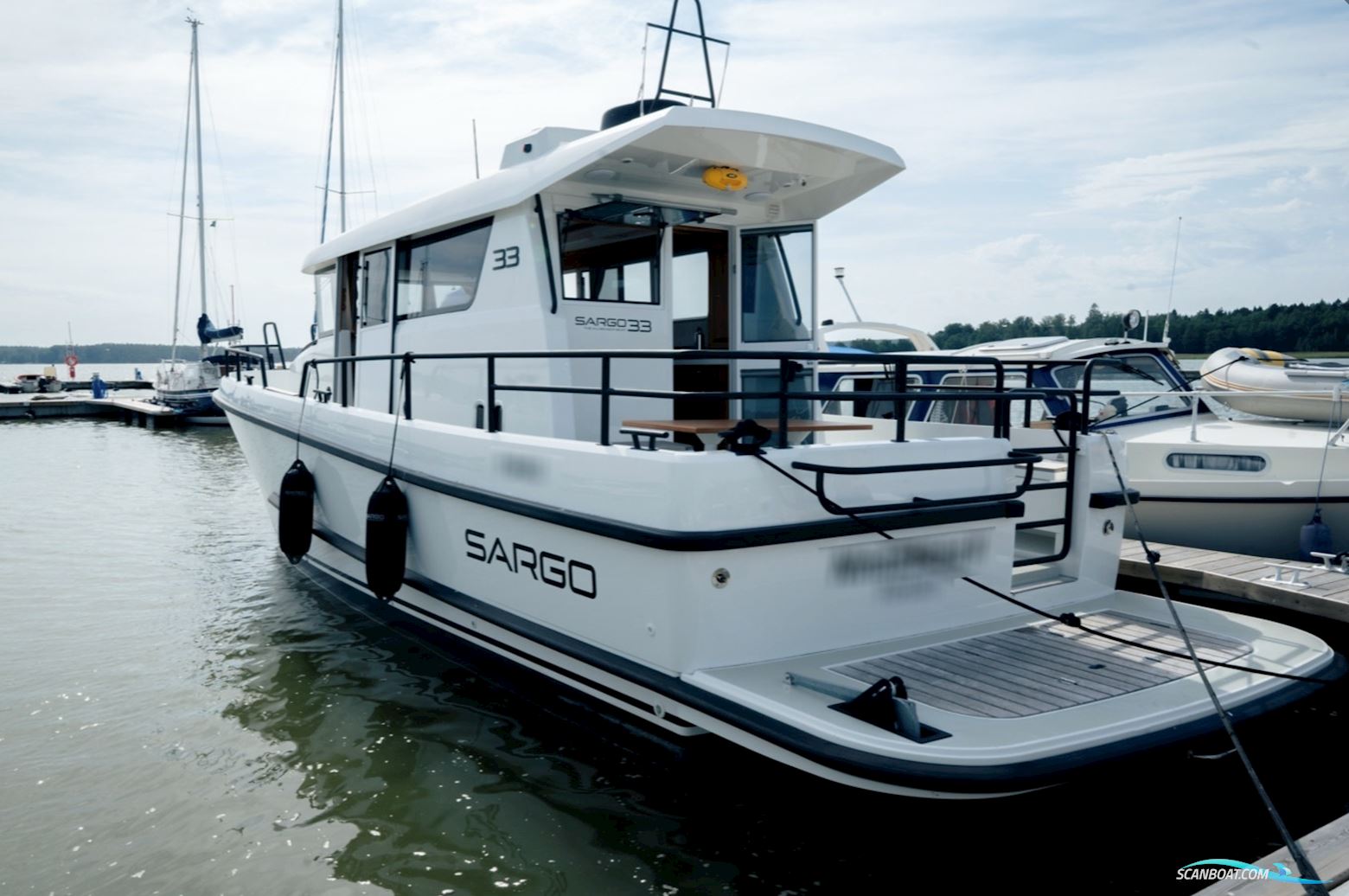 Sargo 33