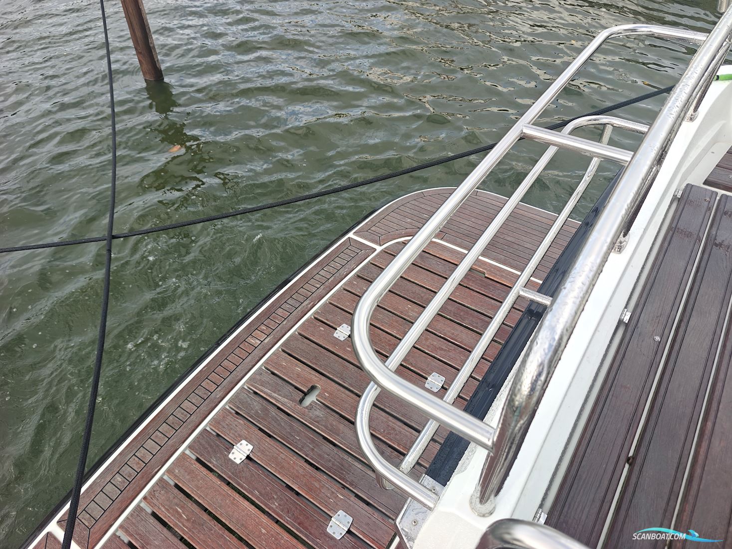 Sargo 33