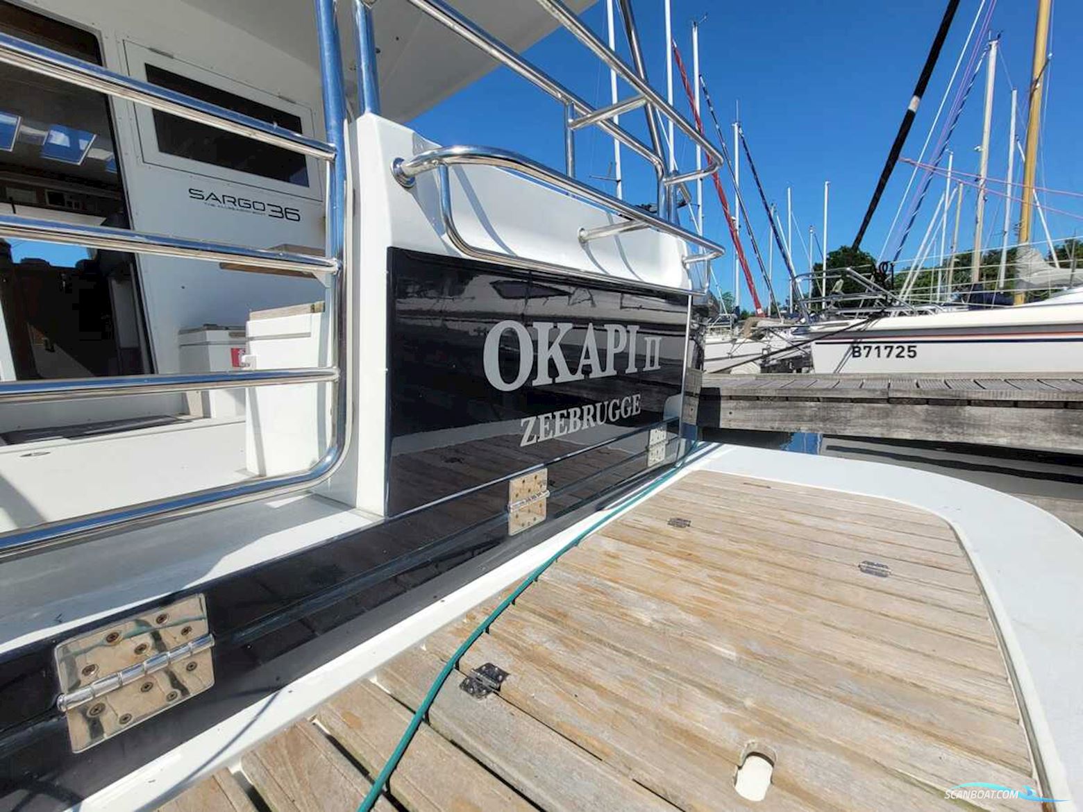 Sargo 36