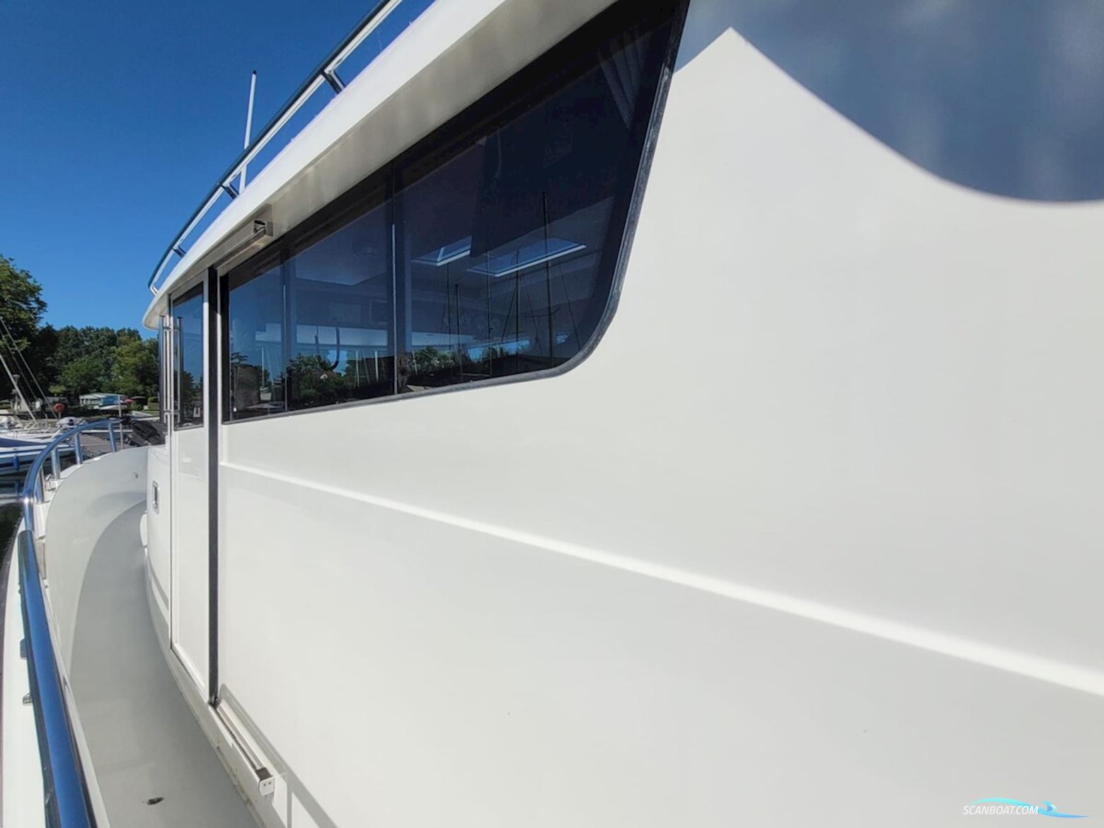 Sargo 36
