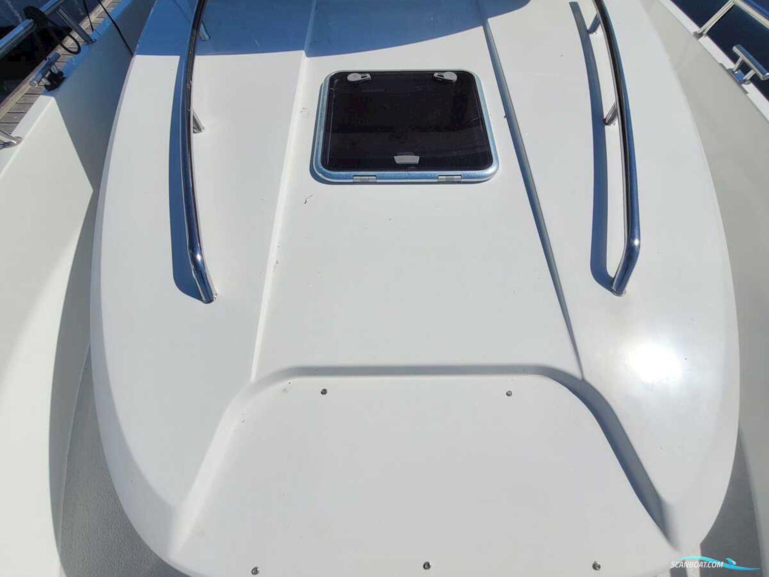 Sargo 36