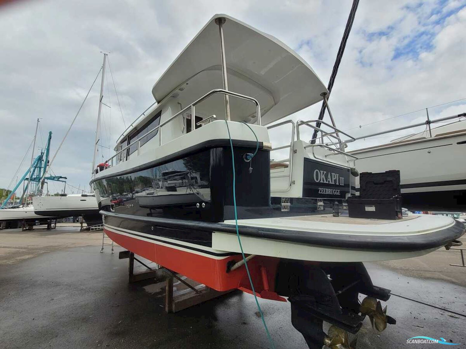 Sargo 36