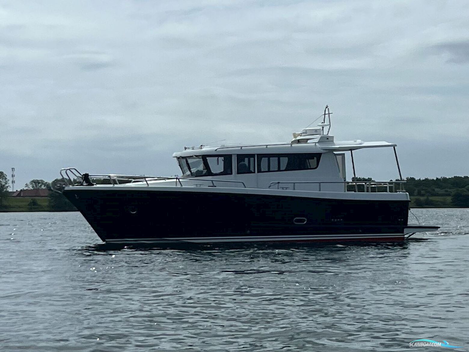 Sargo 36