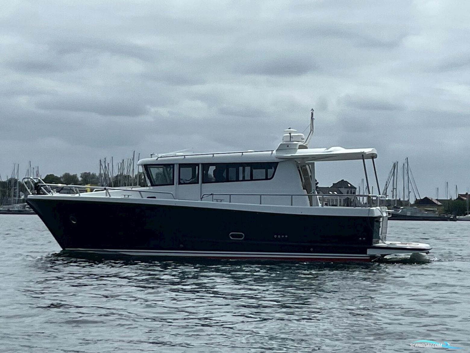 Sargo 36