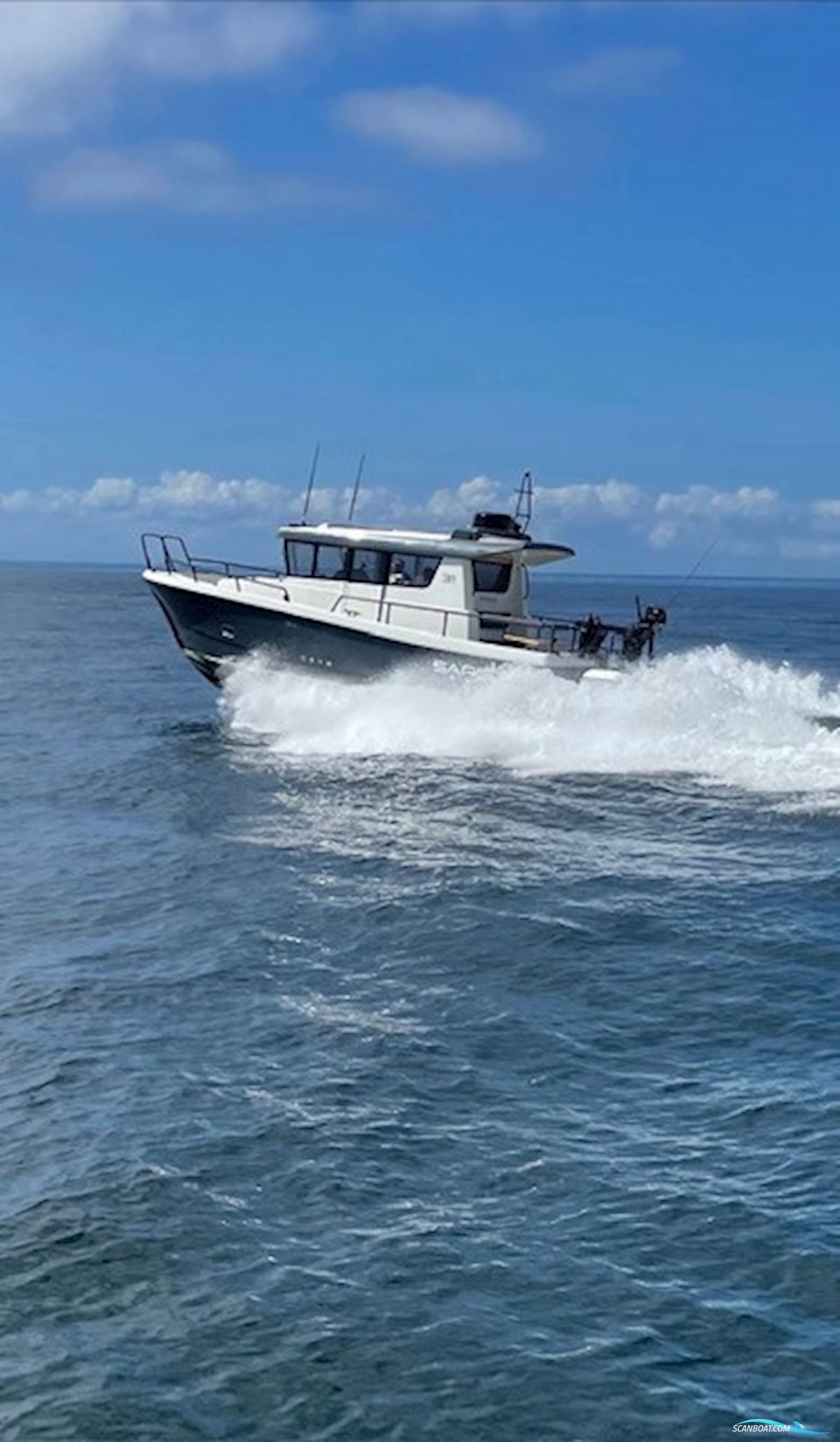 Sargo Explorer 31