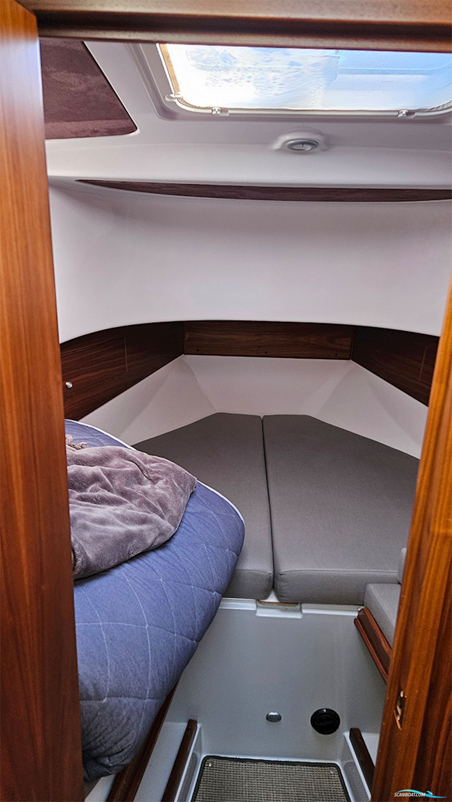 Sargo Explorer 31