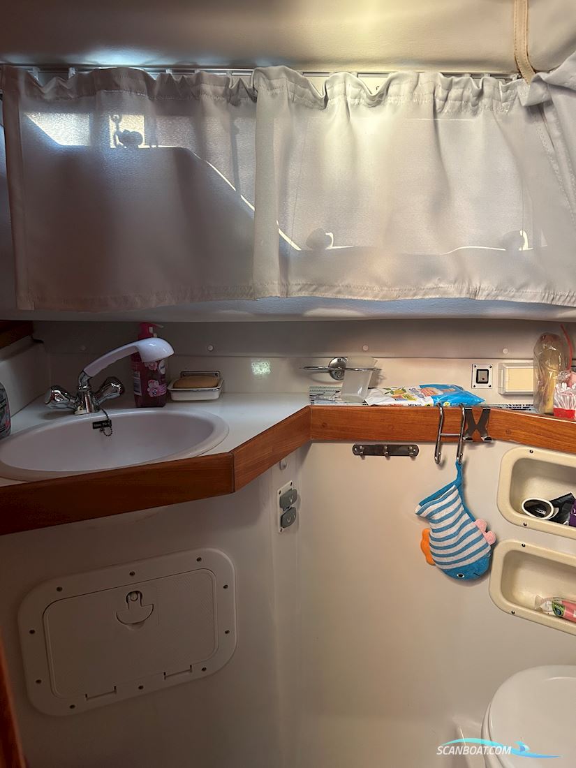 Scand 29 Baltic