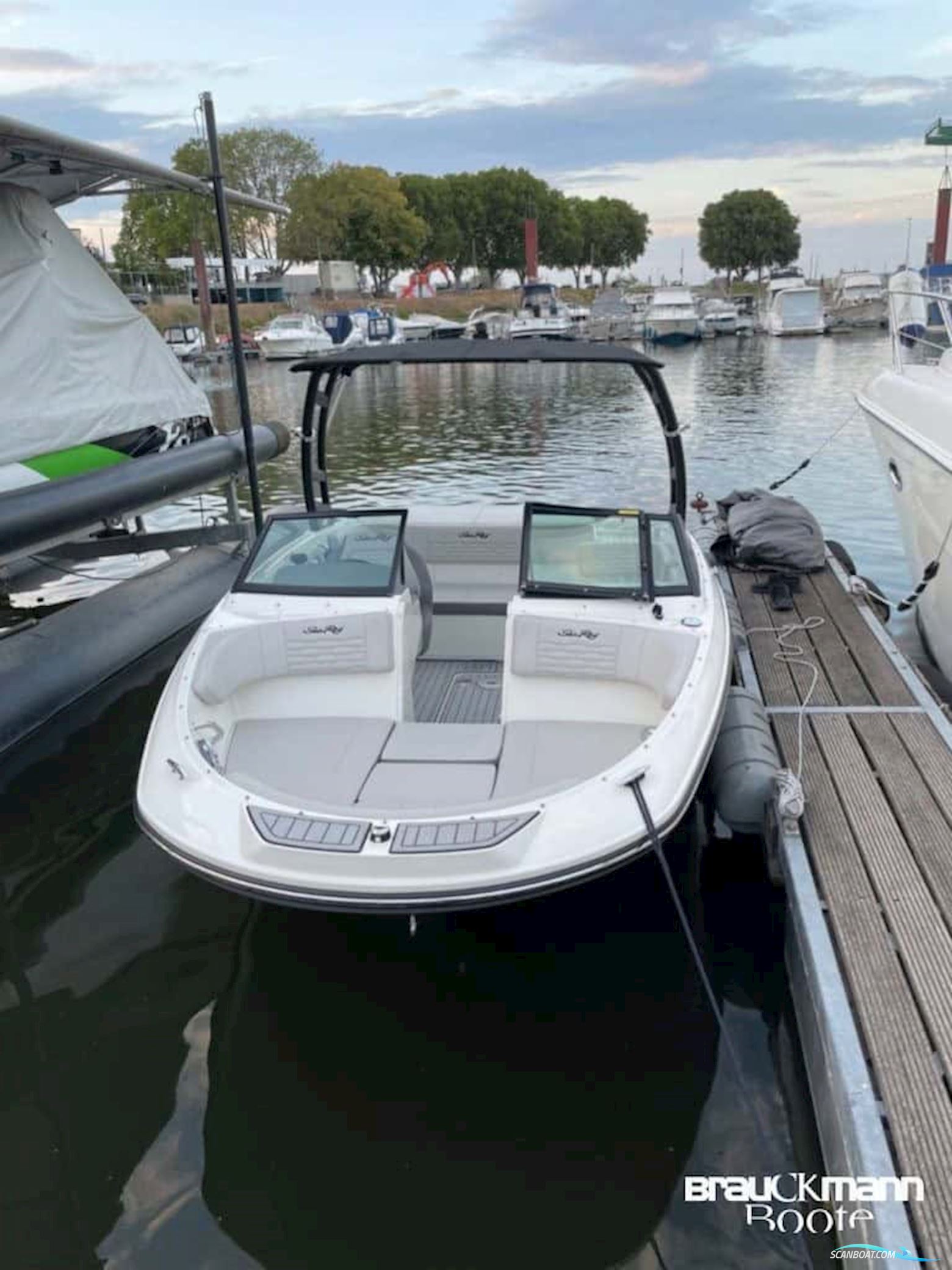 Sea Ray 190 SPX WBT