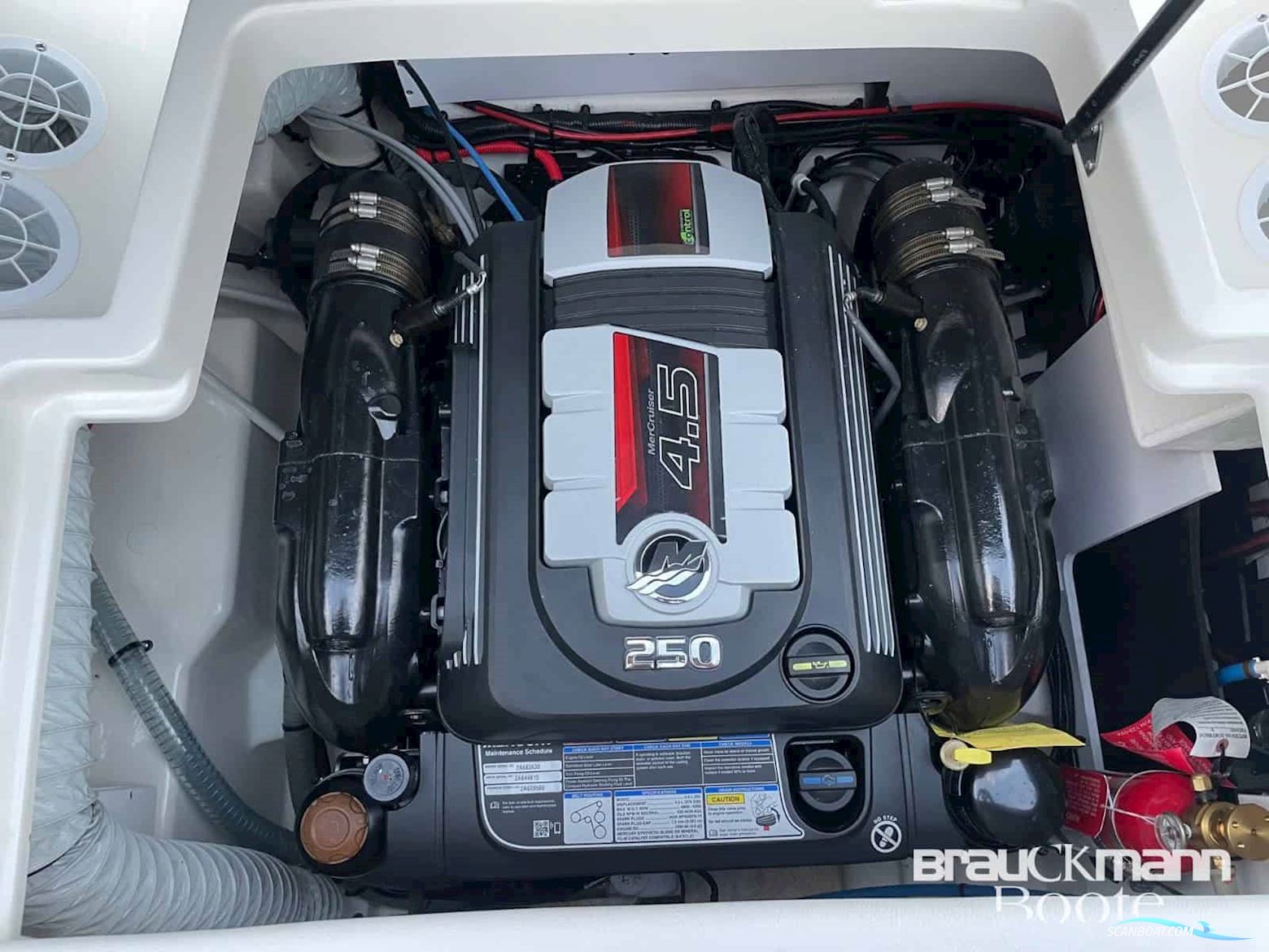 Sea Ray 190 Spx Wbt