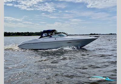 Sea Ray 260 OR Motorboot 1990, Niederlande