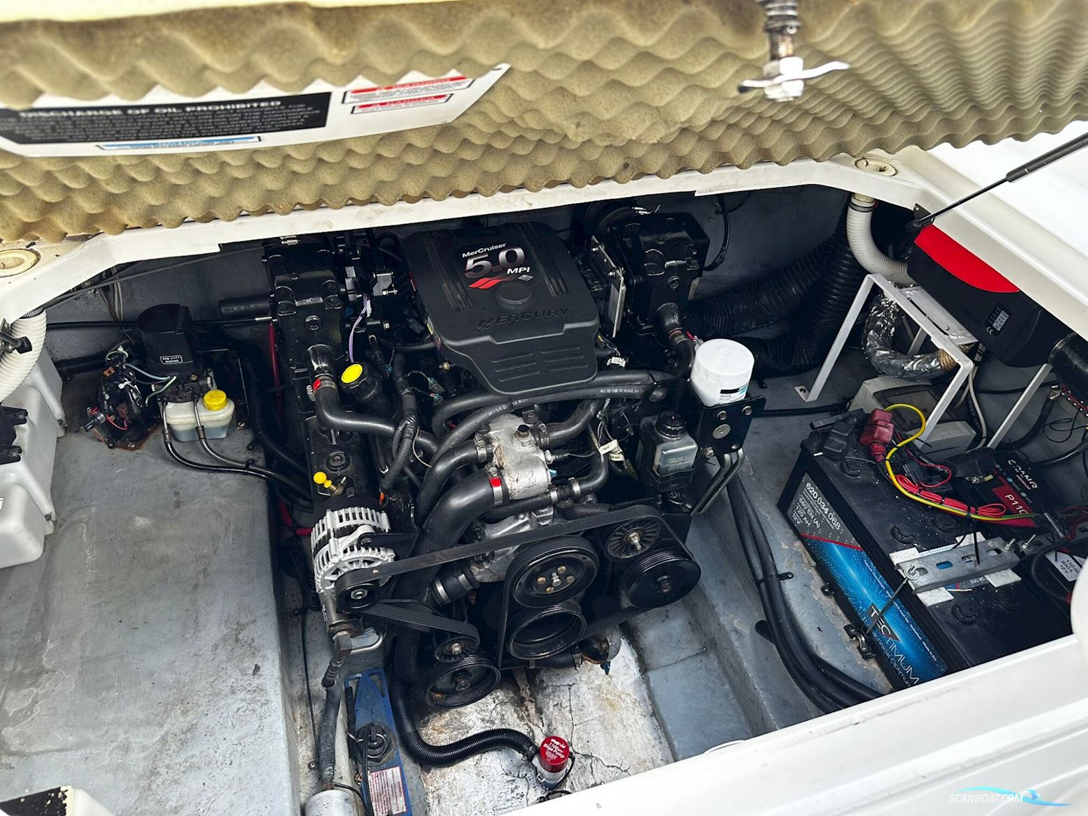 Sea Ray 260 Sundancer