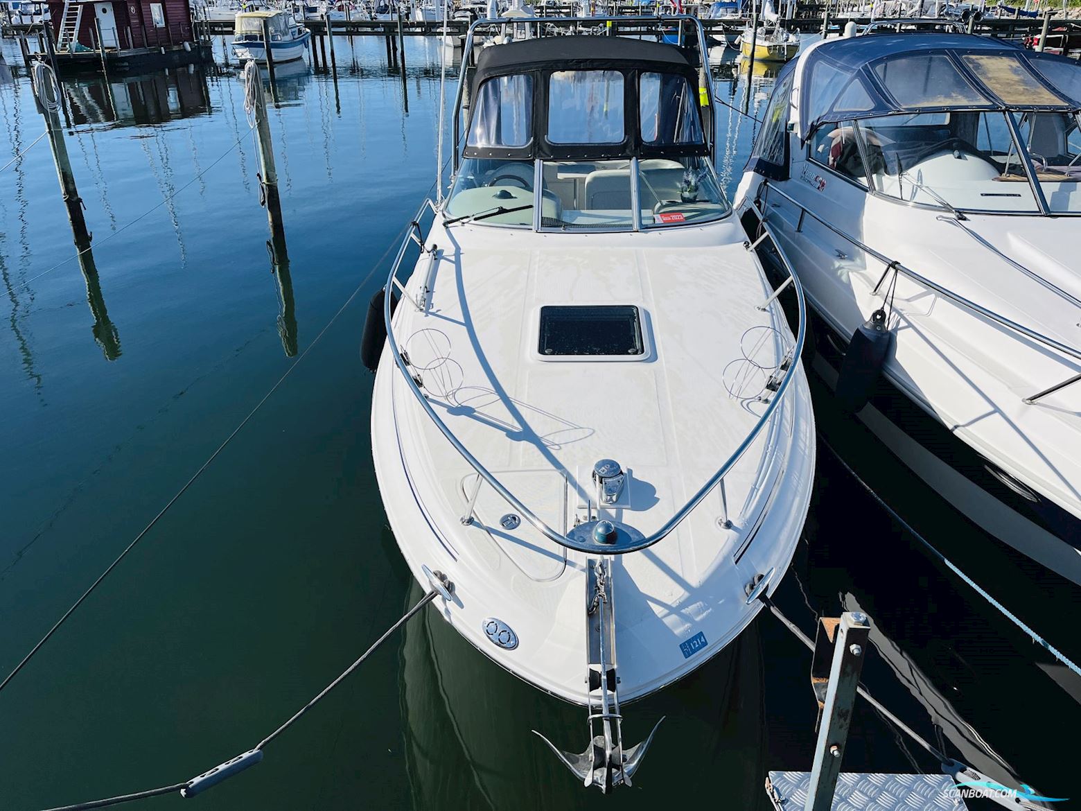 Sea Ray 260 Sundancer