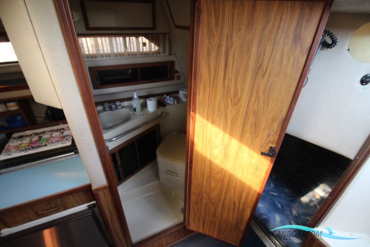 Sea Ray 268 Sundancer