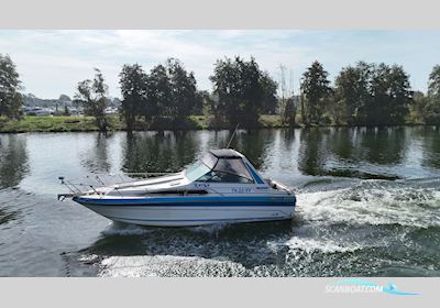 Sea Ray 268 Sundancer Motorboot 1988, Niederlande