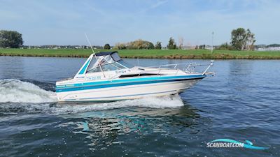 Sea Ray 268 Sundancer Motorboot 1988, Niederlande