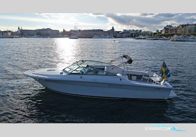 Sea Ray 310 Amberjack Motorboot 1992, mit  Cummins motor, Sweden