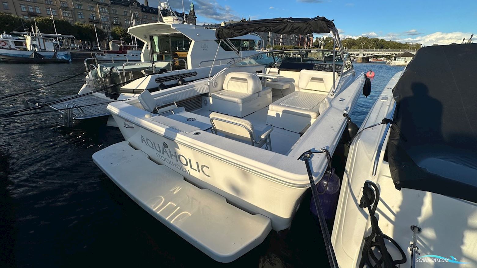 Sea Ray 310 Amberjack